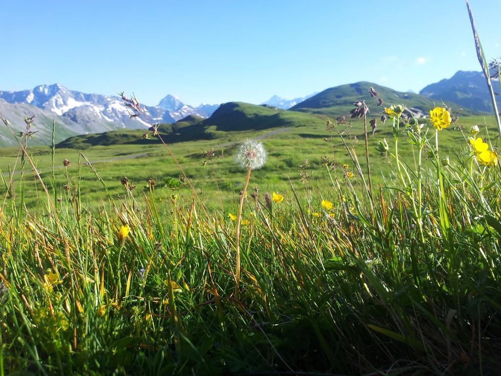 Berggasthaus Tannalp Melchsee Frutt Ngoại thất bức ảnh