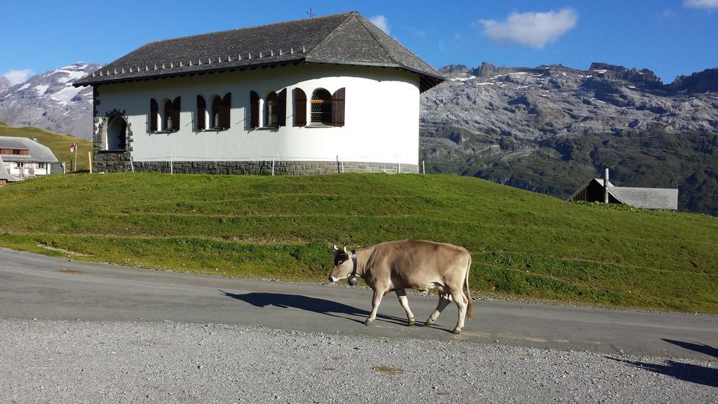 Berggasthaus Tannalp Melchsee Frutt Ngoại thất bức ảnh